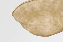 將圖片載入圖庫檢視器 COCOON Light S