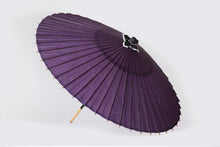 將圖片載入圖庫檢視器 蛇之目傘 無地