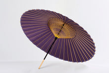 將圖片載入圖庫檢視器 蛇之目傘 無地
