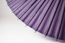 將圖片載入圖庫檢視器 蛇之目傘 無地