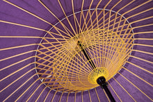 將圖片載入圖庫檢視器 蛇之目傘 無地