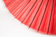 將圖片載入圖庫檢視器 蛇之目傘 無地