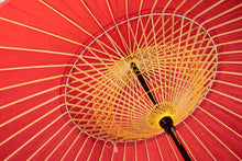 將圖片載入圖庫檢視器 蛇之目傘 無地