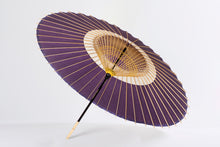 將圖片載入圖庫檢視器 蛇之目傘 中入/nakairi