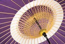 將圖片載入圖庫檢視器 蛇之目傘 中入/nakairi