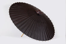 將圖片載入圖庫檢視器 特選番傘