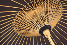 將圖片載入圖庫檢視器 特選番傘