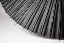 將圖片載入圖庫檢視器 特選番傘