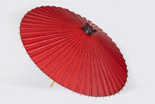 將圖片載入圖庫檢視器 特選番傘