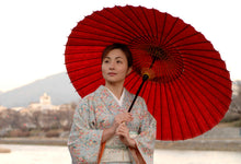 將圖片載入圖庫檢視器 蛇之目傘 無地