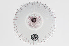 將圖片載入圖庫檢視器 和傘名字文字繪製加工