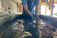 画像をギャラリービューアに読み込む, Rectangle RaysTray ホワイトシカモア 藍染め