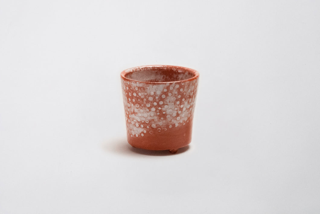 醍醐窯〈AKA to KURO〉 CUP